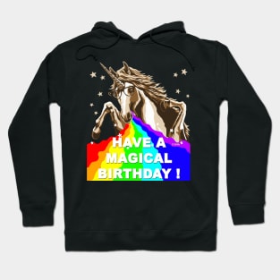 Have a Magical Birthday! Hoodie